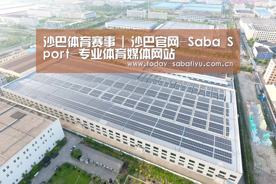 案例展示一