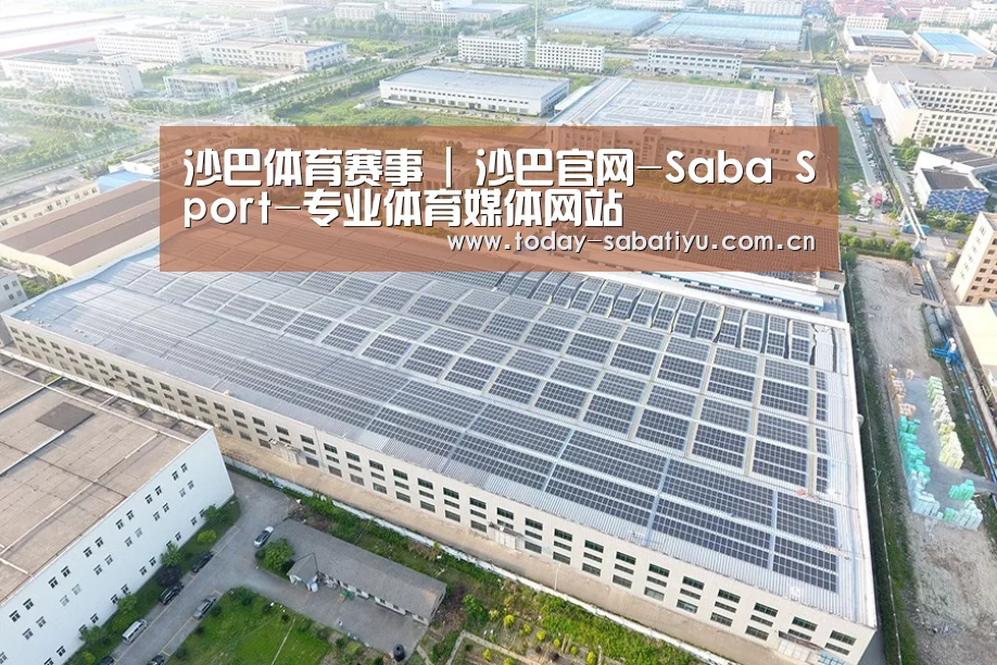 案例展示二