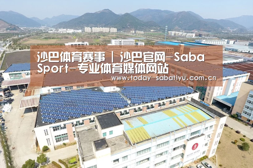 案例展示二