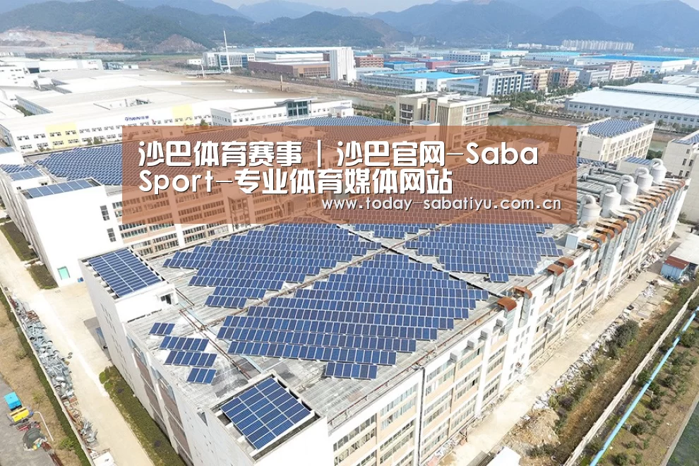 案例展示一