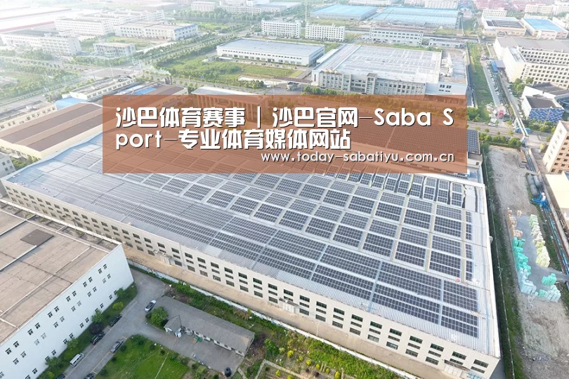 案例展示二