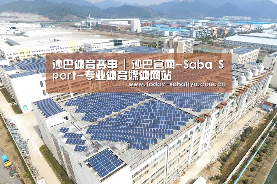 案例展示四