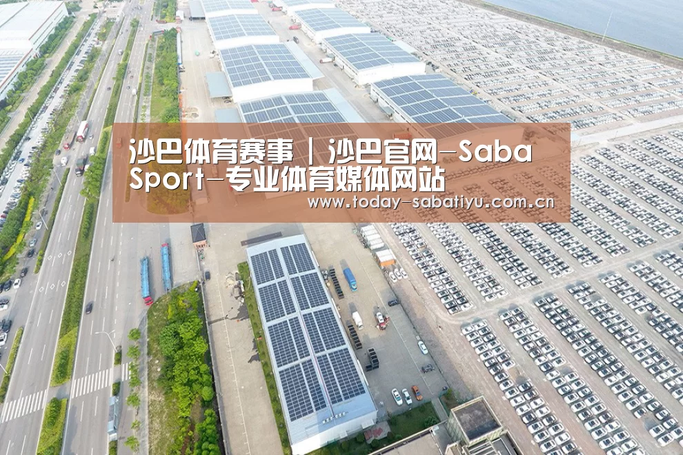 案例展示一