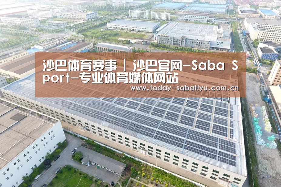 案例展示三
