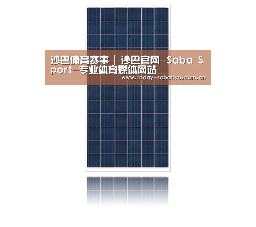 产品名称一