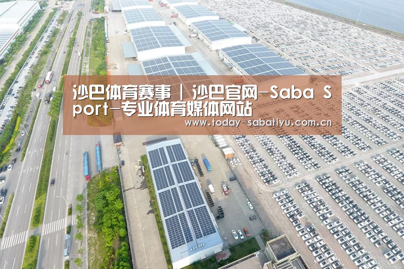 案例展示四