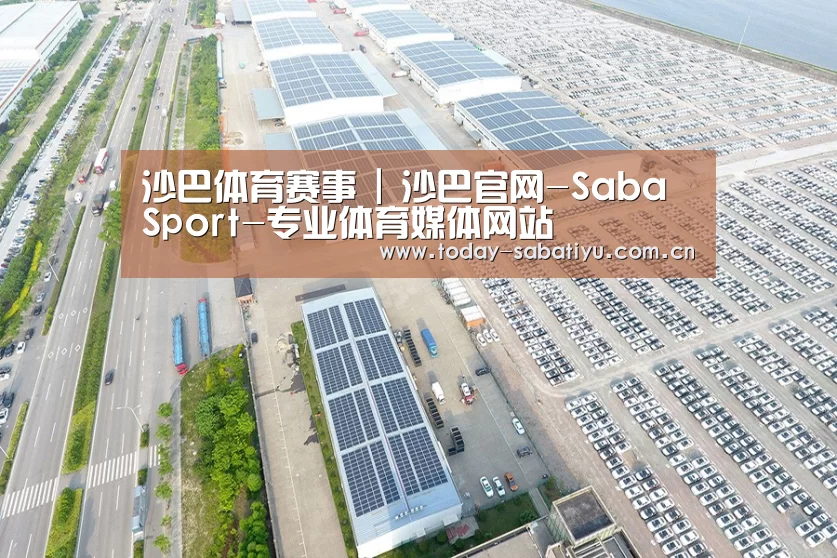 案例展示三