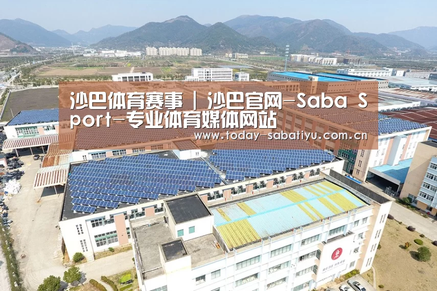 案例展示三