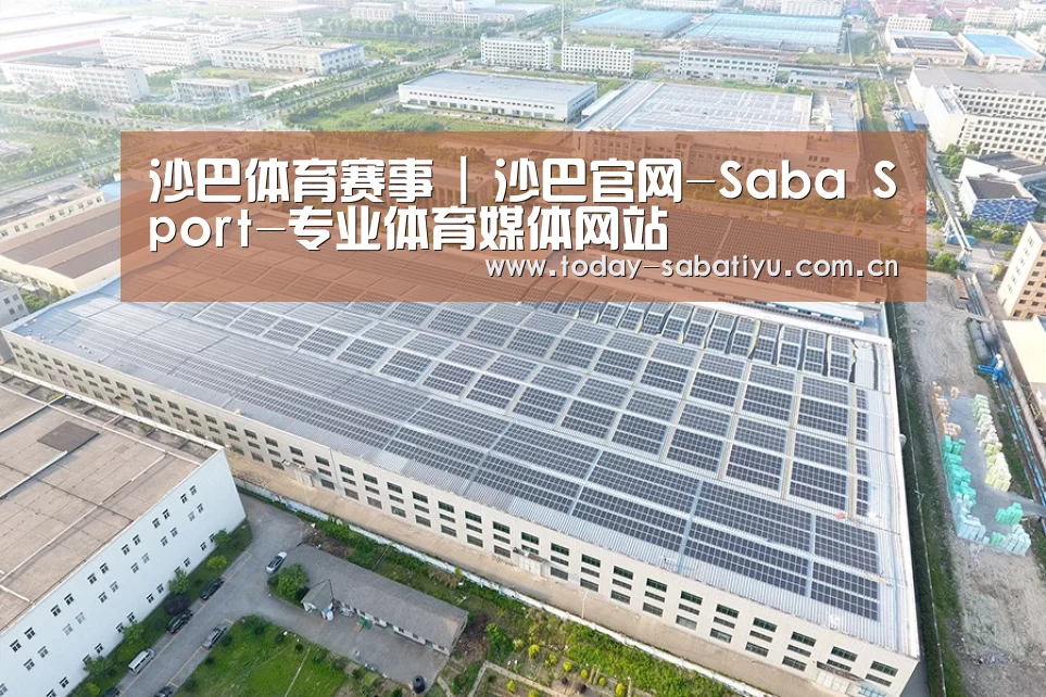 案例展示四