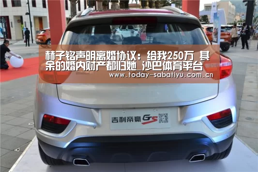 赫子铭声明离婚协议:给我250万 其余的婚内财产都归她_沙巴体育平台(图1) 沙巴足球