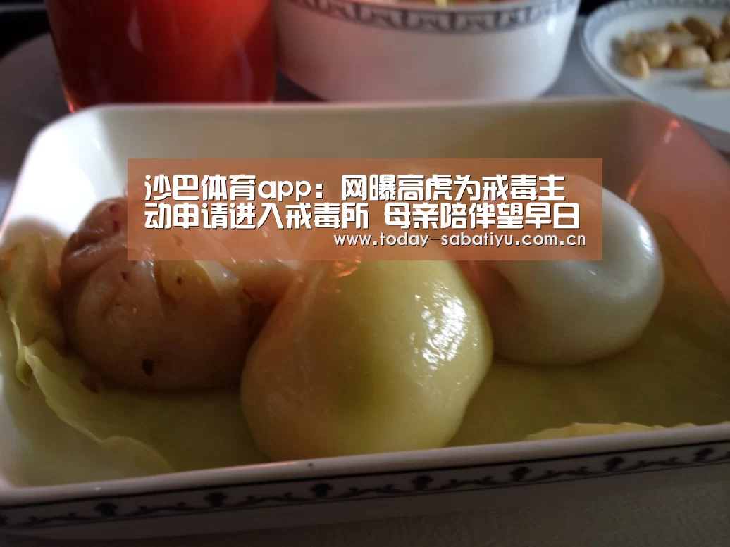 沙巴体育app:网曝高虎为戒毒主动申请进入戒毒所 母亲陪伴望早日摆脱毒瘾(图1) 沙巴体育官网