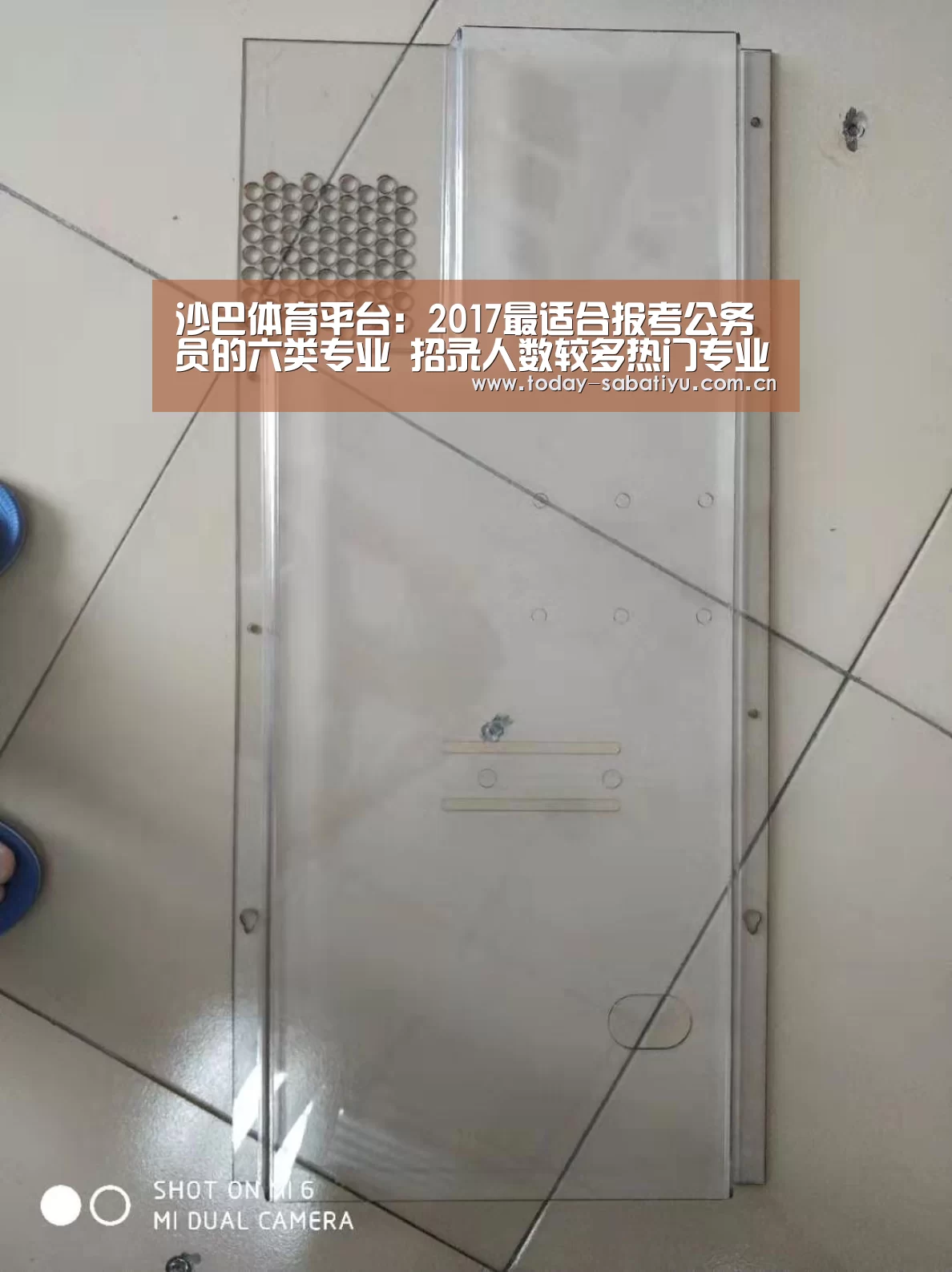 沙巴体育平台