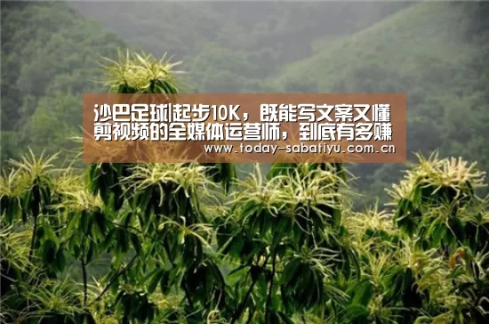 沙巴足球|起步10K,既能写文案又懂剪视频的全媒体运营师,到底有多赚?(图2) 沙巴足球