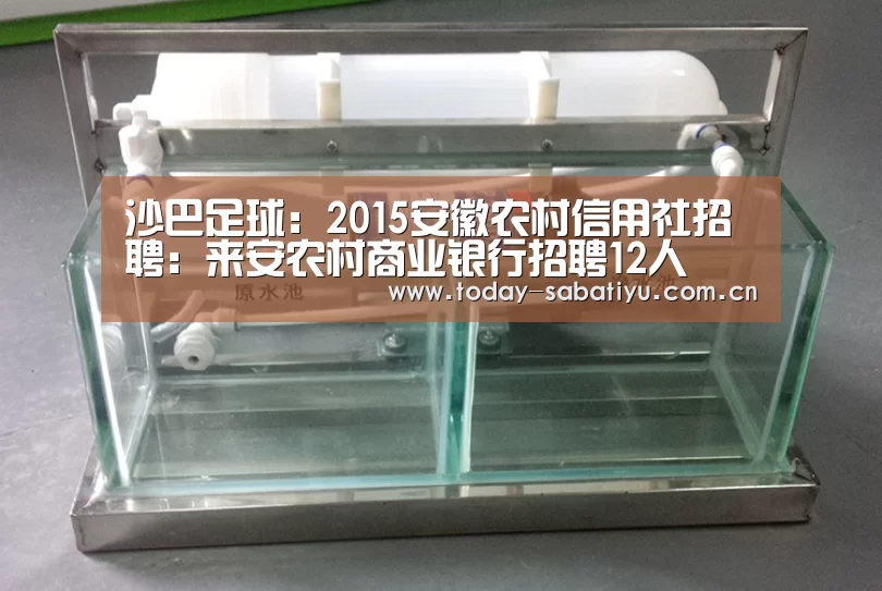 沙巴足球:2015安徽农村信用社招聘:来